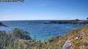 ./images/calvert/foggy-cove/20260531/foggy-cove20260531_170501M.jpg