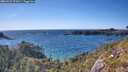 ./images/calvert/foggy-cove/20260531/foggy-cove20260531_172001M.jpg