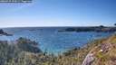./images/calvert/foggy-cove/20260531/foggy-cove20260531_174501M.jpg