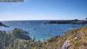 ./images/calvert/foggy-cove/20260531/foggy-cove20260531_175001M.jpg