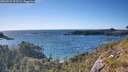 ./images/calvert/foggy-cove/20260531/foggy-cove20260531_175502M.jpg