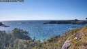 ./images/calvert/foggy-cove/20260531/foggy-cove20260531_180501M.jpg