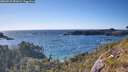 ./images/calvert/foggy-cove/20260531/foggy-cove20260531_181001M.jpg