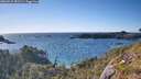 ./images/calvert/foggy-cove/20260531/foggy-cove20260531_181501M.jpg