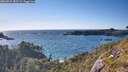 ./images/calvert/foggy-cove/20260531/foggy-cove20260531_182501M.jpg