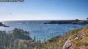 ./images/calvert/foggy-cove/20260531/foggy-cove20260531_183002M.jpg