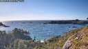 ./images/calvert/foggy-cove/20260531/foggy-cove20260531_183501M.jpg
