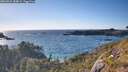 ./images/calvert/foggy-cove/20260531/foggy-cove20260531_184001M.jpg