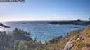 ./images/calvert/foggy-cove/20260531/foggy-cove20260531_184501M.jpg