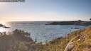./images/calvert/foggy-cove/20260531/foggy-cove20260531_192001M.jpg