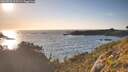 ./images/calvert/foggy-cove/20260531/foggy-cove20260531_200501M.jpg