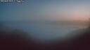 ./images/calvert/foggy-cove/20260601/foggy-cove20260601_043501M.jpg