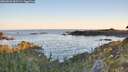 ./images/calvert/foggy-cove/20260601/foggy-cove20260601_055502M.jpg
