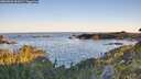 ./images/calvert/foggy-cove/20260601/foggy-cove20260601_062001M.jpg