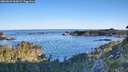 ./images/calvert/foggy-cove/20260601/foggy-cove20260601_065001M.jpg