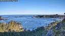 ./images/calvert/foggy-cove/20260601/foggy-cove20260601_070501M.jpg
