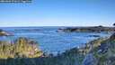 ./images/calvert/foggy-cove/20260601/foggy-cove20260601_071002M.jpg