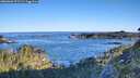 ./images/calvert/foggy-cove/20260601/foggy-cove20260601_071501M.jpg