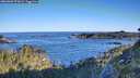 ./images/calvert/foggy-cove/20260601/foggy-cove20260601_072001M.jpg