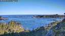./images/calvert/foggy-cove/20260601/foggy-cove20260601_072501M.jpg