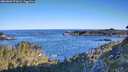 ./images/calvert/foggy-cove/20260601/foggy-cove20260601_073002M.jpg