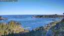 ./images/calvert/foggy-cove/20260601/foggy-cove20260601_073501M.jpg