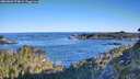 ./images/calvert/foggy-cove/20260601/foggy-cove20260601_074001M.jpg
