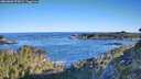 ./images/calvert/foggy-cove/20260601/foggy-cove20260601_074501M.jpg