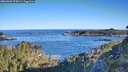./images/calvert/foggy-cove/20260601/foggy-cove20260601_075001M.jpg