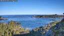 ./images/calvert/foggy-cove/20260601/foggy-cove20260601_075501M.jpg