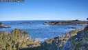 ./images/calvert/foggy-cove/20260601/foggy-cove20260601_080001M.jpg