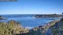./images/calvert/foggy-cove/20260601/foggy-cove20260601_080501M.jpg