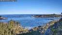 ./images/calvert/foggy-cove/20260601/foggy-cove20260601_081001M.jpg