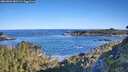 ./images/calvert/foggy-cove/20260601/foggy-cove20260601_081501M.jpg