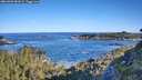 ./images/calvert/foggy-cove/20260601/foggy-cove20260601_082002M.jpg