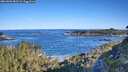 ./images/calvert/foggy-cove/20260601/foggy-cove20260601_082501M.jpg