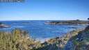 ./images/calvert/foggy-cove/20260601/foggy-cove20260601_083001M.jpg