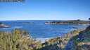 ./images/calvert/foggy-cove/20260601/foggy-cove20260601_084001M.jpg