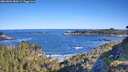 ./images/calvert/foggy-cove/20260601/foggy-cove20260601_084501M.jpg