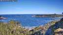 ./images/calvert/foggy-cove/20260601/foggy-cove20260601_091001M.jpg