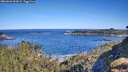 ./images/calvert/foggy-cove/20260601/foggy-cove20260601_092002M.jpg