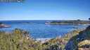 ./images/calvert/foggy-cove/20260601/foggy-cove20260601_092501M.jpg
