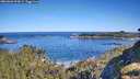 ./images/calvert/foggy-cove/20260601/foggy-cove20260601_093001M.jpg