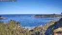./images/calvert/foggy-cove/20260601/foggy-cove20260601_093501M.jpg