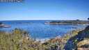 ./images/calvert/foggy-cove/20260601/foggy-cove20260601_094001M.jpg