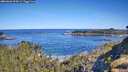 ./images/calvert/foggy-cove/20260601/foggy-cove20260601_094502M.jpg