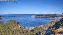 ./images/calvert/foggy-cove/20260601/foggy-cove20260601_095001M.jpg