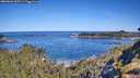 ./images/calvert/foggy-cove/20260601/foggy-cove20260601_095501M.jpg
