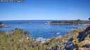 ./images/calvert/foggy-cove/20260601/foggy-cove20260601_100001M.jpg