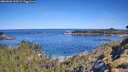 ./images/calvert/foggy-cove/20260601/foggy-cove20260601_100501M.jpg